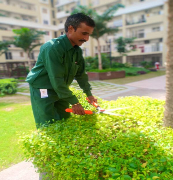 Best horticulture jobs in india